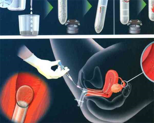生殖科专家王红霞医生简介与出诊时间