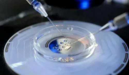 山大生殖医院试管专家选择与助孕经验分享