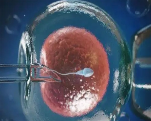 <strong>济南试管助孕成功率高的医院推荐与代生代怀咨询指南</strong>