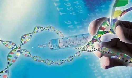 济南试管助孕：三代供卵与辅助生殖服务指南，深度解析医院选择与流程
