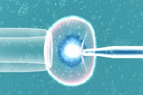 <strong>供卵助孕是否容易操作？交流群与机构可靠性探讨</strong>