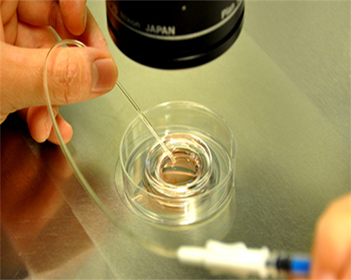 济南山大生殖医院试管婴儿：生育新时代的可靠选择