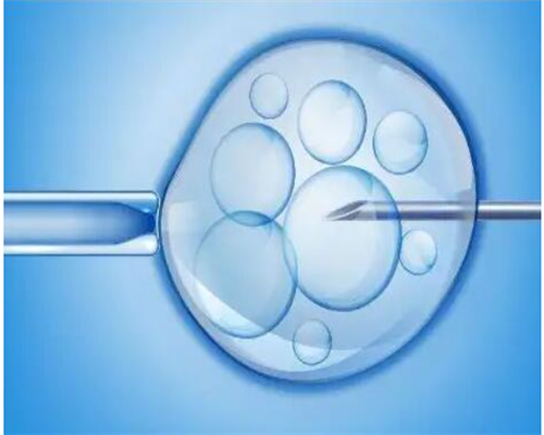 如何选择正规的试管婴儿医院及靠谱借卵机构