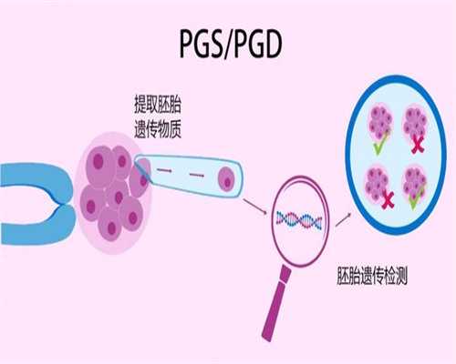 济南代妈代怀价格与试管费用解析，助您了解辅助生殖成本