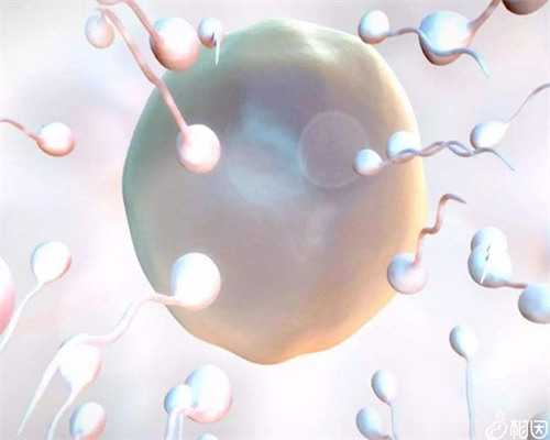 济南地区代孕公司选择与供卵生子指南