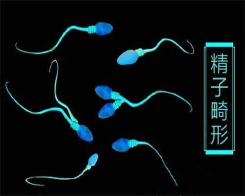 <b>济南代怀生子费用解析与试管婴儿花销差异原因探讨</b>