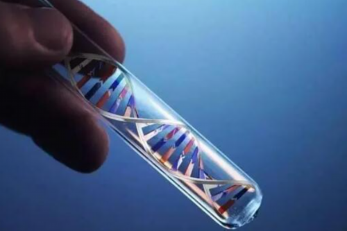 济南试管助孕医院权威排名与专业服务解析