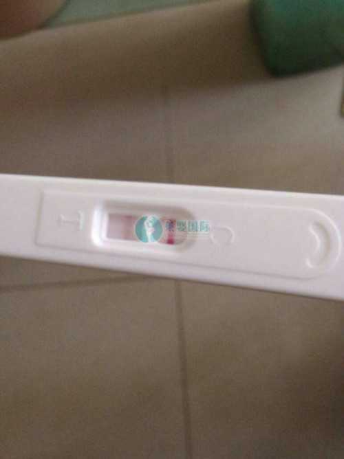济南单身女性代生与供卵福梦试管婴儿成功案例分享