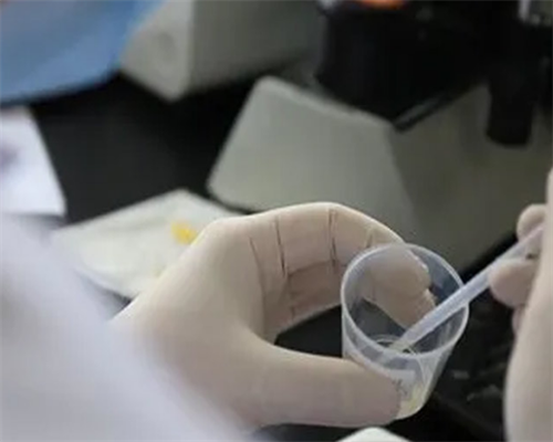 <strong>单身男性寻求代怀服务与供卵医院选择指南</strong>