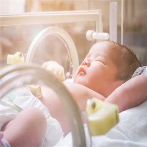 第三代试管婴儿中‘取卵’、‘移植’两大手术详解