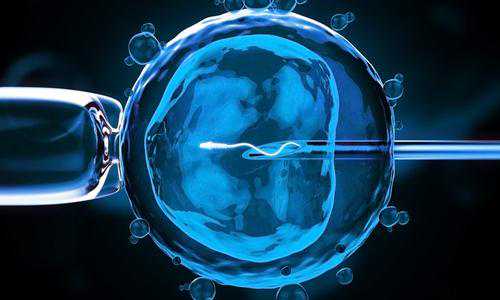 美国试管婴儿胚胎辅助孵化的过程