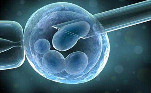 美国试管婴儿胚胎移植后注意事项
